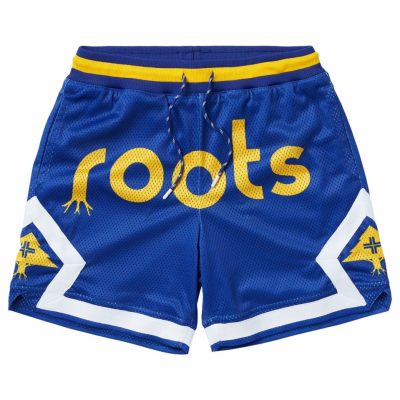 Clothing LRG  | Original Roots Mesh Shorts Blue