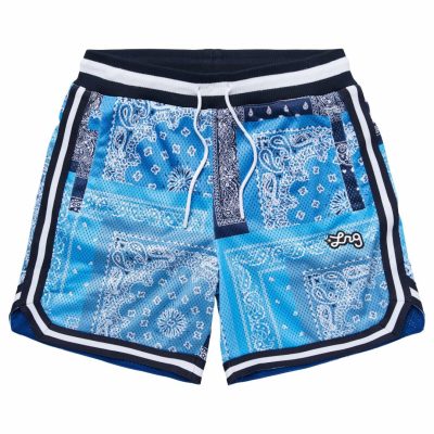 Clothing LRG  | Strictly Script Roots Mesh Shorts Blue