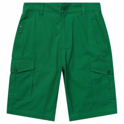 Clothing LRG  | Rc Cargo Shorts Palm Leaf