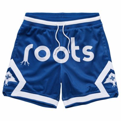 Clothing LRG  | Original Roots Mesh Shorts Royal