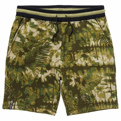 Clothing LRG  | Nature Mission Sweatshorts Sage