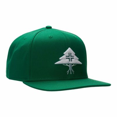 Accessories LRG  | Legacy Tree Snapback Hat Green