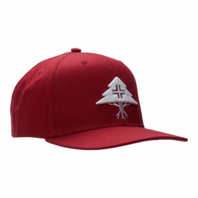 Accessories LRG  | Legacy Tree Snapback Hat Red