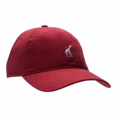 Accessories LRG  | 47 Dad Hat Red