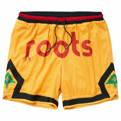 Clothing LRG  | Original Roots Mesh Shorts Yellow