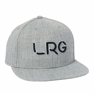 Accessories LRG  | Simpletree Snapback Hat Grey