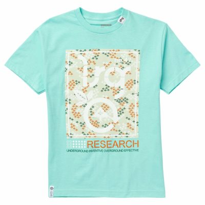 Clothing LRG  | Plant Leader Box Logo Tee Celadon