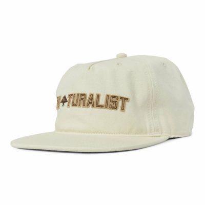 Accessories LRG  | Naturalist Snapback Hat Tan