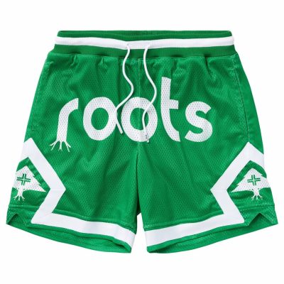 Clothing LRG  | Original Roots Mesh Shorts Kelly Green